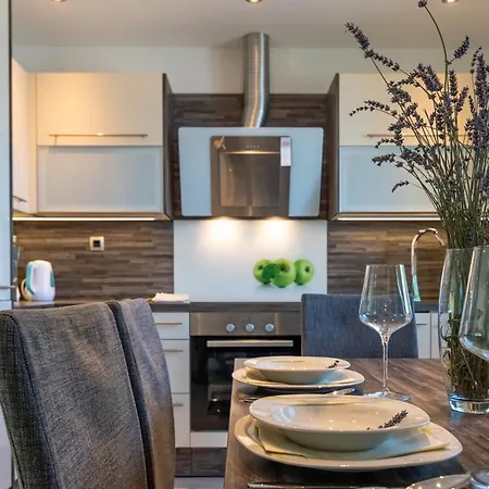 别墅 Zgodic 洛夫兰